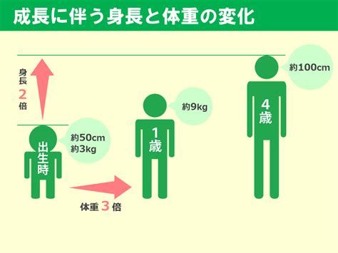 健康成長|乳児と小児の身体的成長